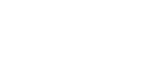 Logotyp-almi